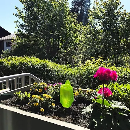 Komfortfewo Fuer 2 Personen Mit Wintergarten Goslar